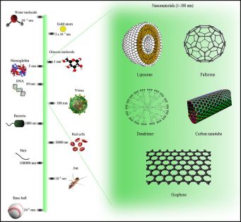 800px-comparison_of_nanomaterials_sizes